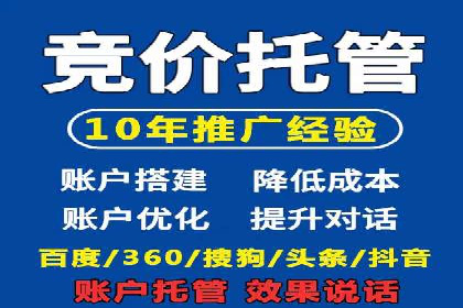 跨行业SEM广告投放的多样化案例分析
